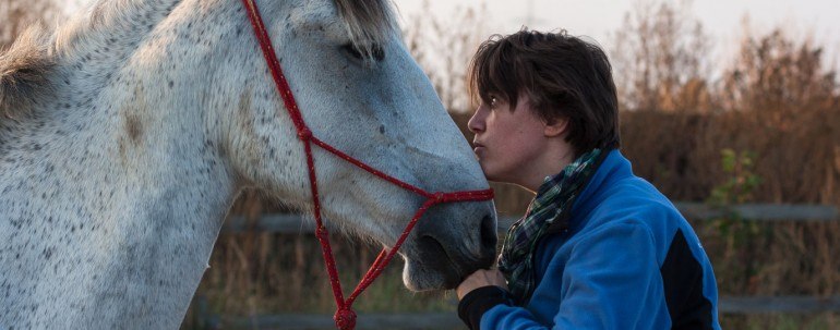 Wissenschaftliche Studie belegt Empathie der Pferde